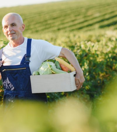view-of-working-old-farmer-harvesting-agricultur-2025-10-13-06-08-27-utc